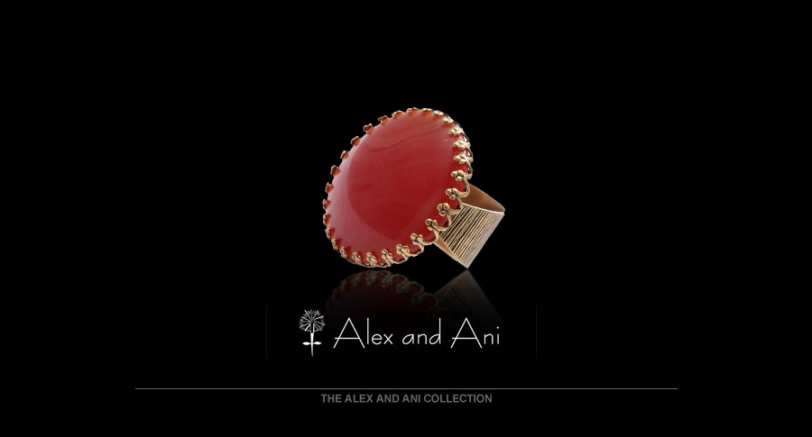 Alex and Ani's mission is to design products that adorn the body, enlighten the mind, and empower the spirit. Alex and Ani's collections reflect a design aesthetic that celebrates each wearer's unique essence. Owner and designer Carolyn Rafaelian believes it is her life's work to inspire her customers to relish what is unique and authentic about themselves. Alex and Ani's artistry lies in drawing out the beauty that resides within. 