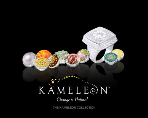 All of us share a basic desire to express our individuality, our feelings and emotions - to stand out from the crowd. Inspired by Nature, we have captured the essence of this spirit with the launch of our new line of sterling silver interchangeable jewelry - Kameleon.  Kameleon's base jewelry designs include rings, earrings, pendants, bracelets, necklaces and pins. They feature natural, flowing lines that are all carefully crafted in sterling silver to accept small interchangeable inserts called JewelPops.